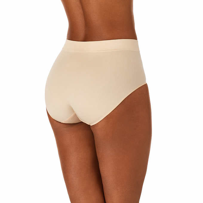 Carole Hochman Women's Size Large, Seamless Briefs Panties, 5-Pack, Multi-color